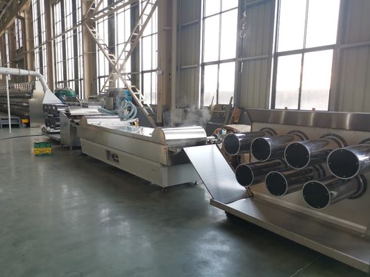 comprare decorazione di nylon del giardino della macchina dell'espulsore di 55kw 6400 Dtex online manufacture